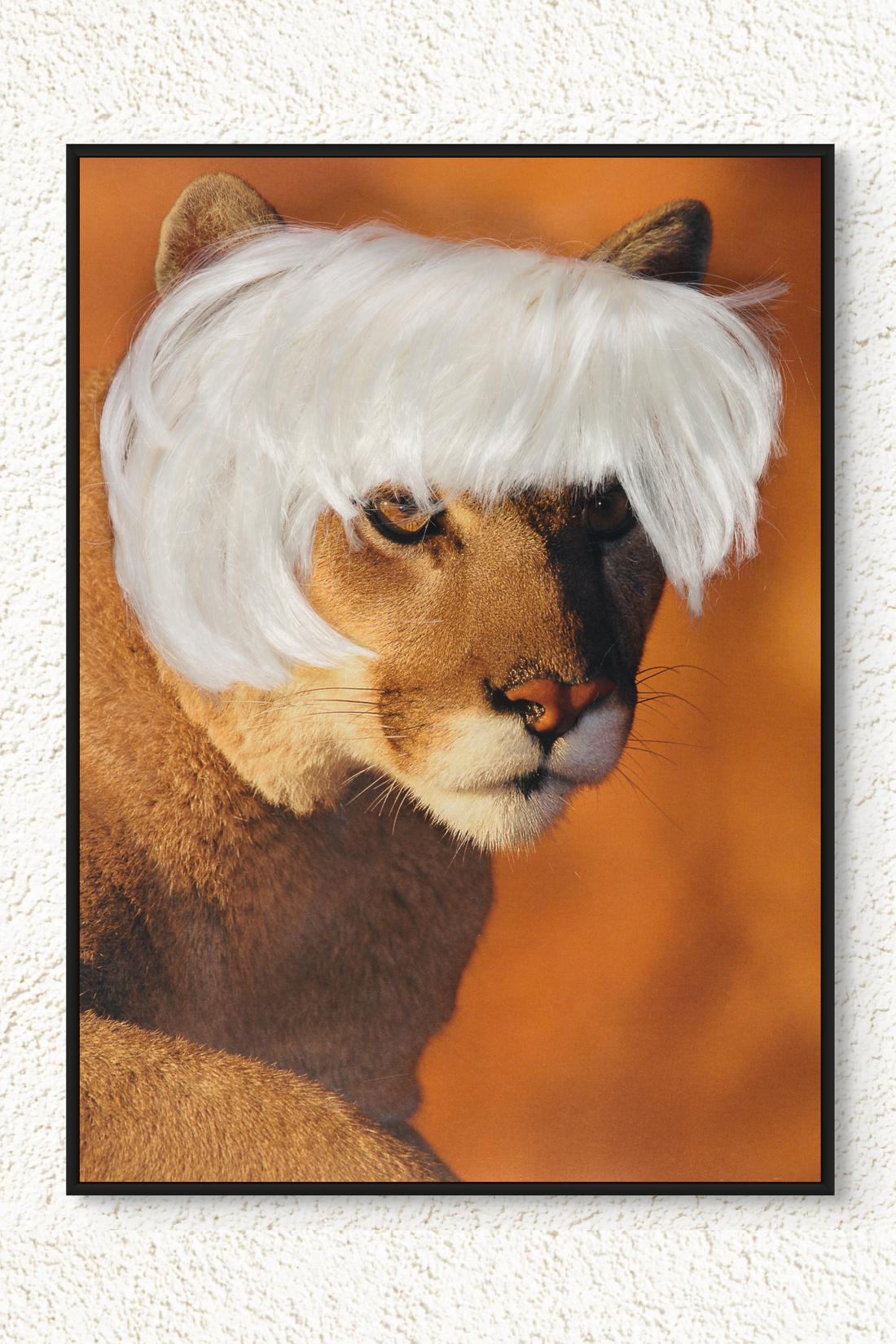  Abstract Art Canvas: Warhol Wig Collection