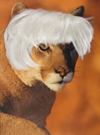 Modern Canvas Print: 'Lioness in Warhol Wig' - Contemporary Art