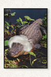 Wall Art Canvas: 'Warhol Alligator' - Stylish Design