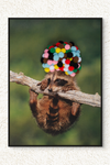 Decorative Canvas Print: 'Baby Raccoon with Rainbow Pom Poms