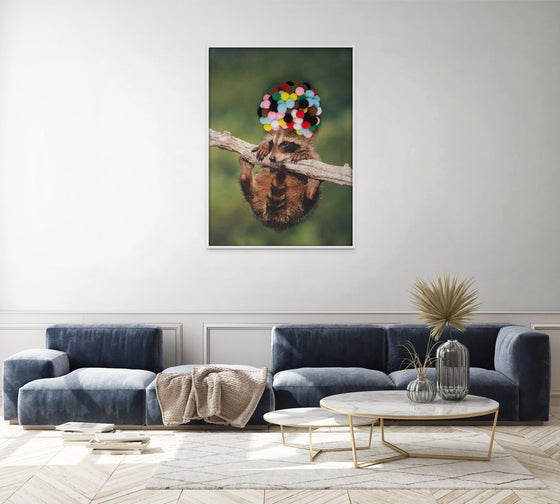 Decorative Canvas Print: 'Baby Raccoon with Rainbow Pom Poms