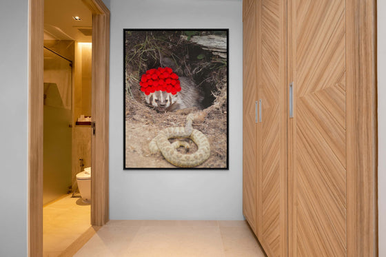 Inspirational Canvas Print: Badger with Red Pom Poms