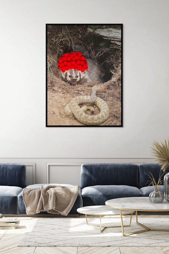 Canvas Print: “Badger with Red Pom Poms"