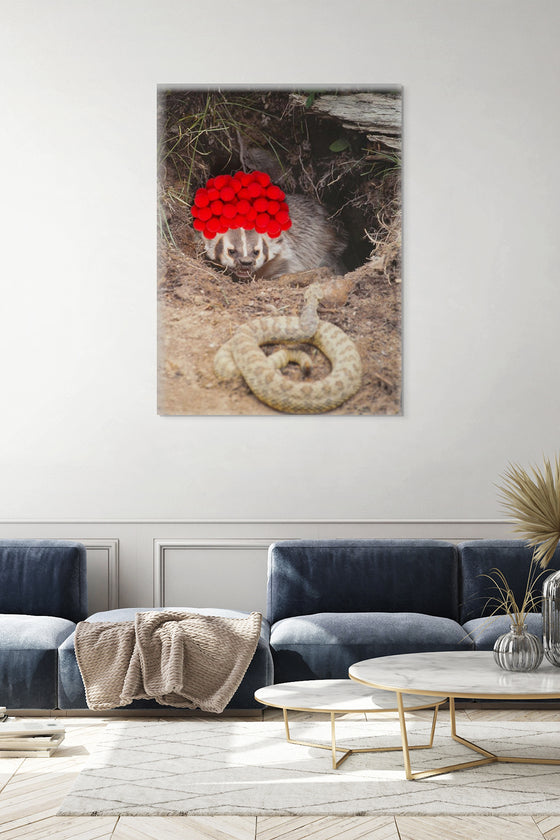 Canvas Print: “Badger with Red Pom Poms"