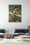 Canvas Print: “Baby Raccoon with Rainbow Pom Poms"