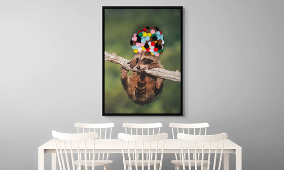 Decorative Canvas Print: 'Baby Raccoon with Rainbow Pom Poms