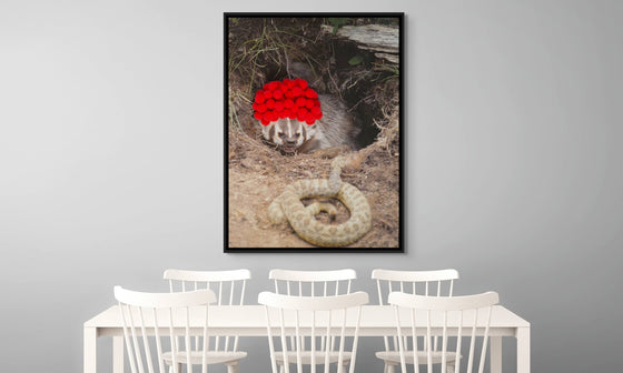 Inspirational Canvas Print: Badger with Red Pom Poms