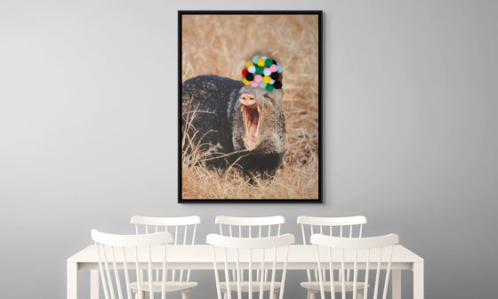 Yawning Warthog' Canvas - Artistic Home Decor