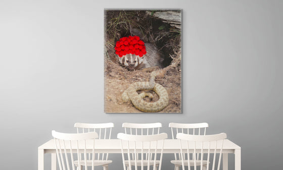 Inspirational Canvas Print: Badger with Red Pom Poms