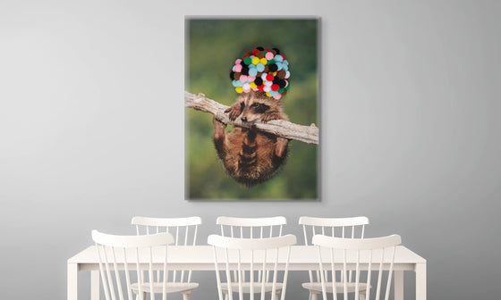 Decorative Canvas Print: 'Baby Raccoon with Rainbow Pom Poms