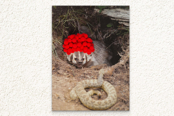 Inspirational Canvas Print: Badger with Red Pom Poms