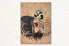 Yawning Warthog' Canvas - Artistic Home Decor