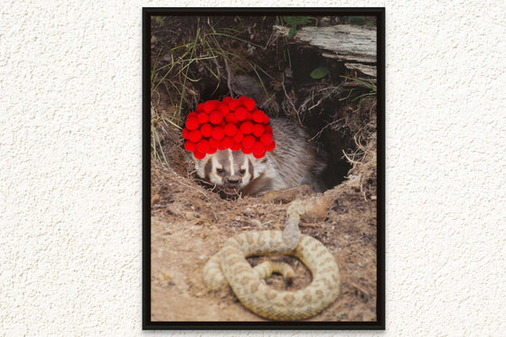 Inspirational Canvas Print: Badger with Red Pom Poms