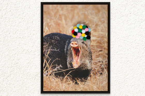 Yawning Warthog' Canvas - Artistic Home Decor